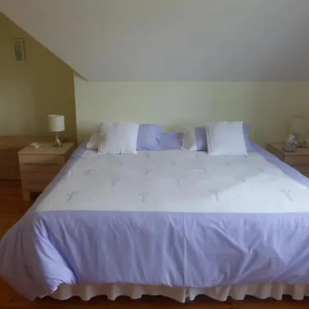 ベッド・アンド・ブレックファスト Forgefield House *