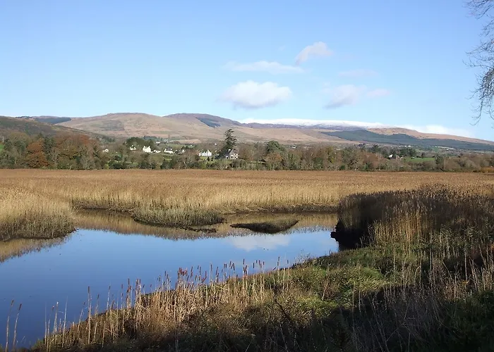 Bed & Breakfast Forgefield House *