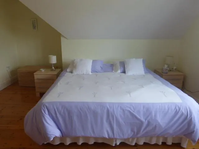 Bed and breakfast Forgefield House *